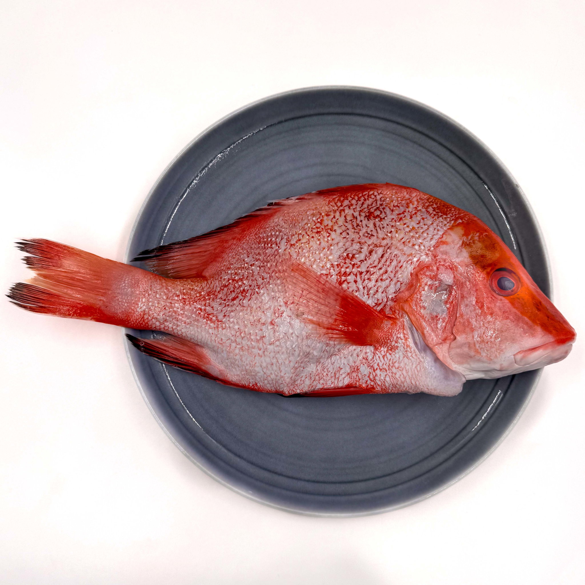 Wild Caught Red Emperor Snapper Gutted/butterfly 650G_2