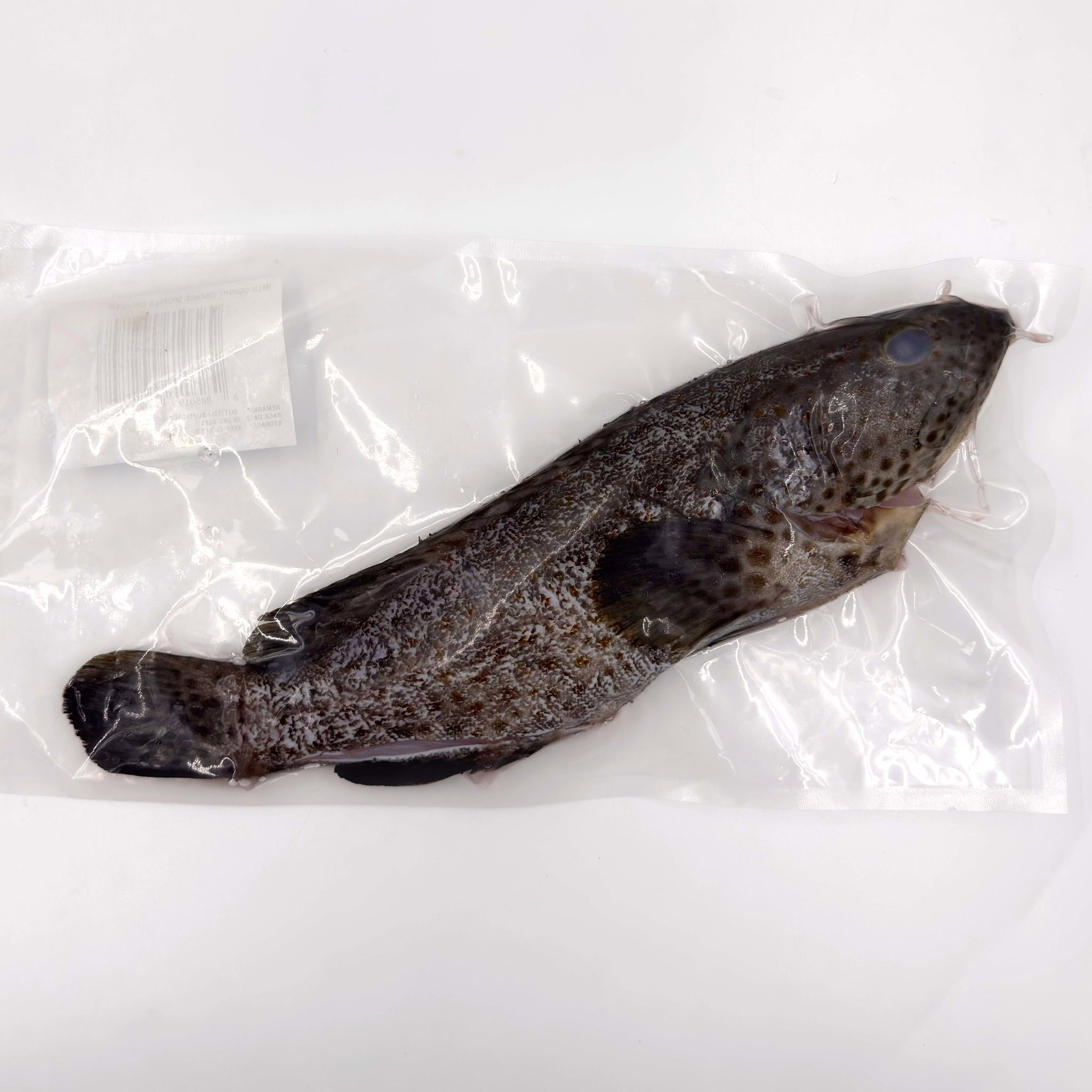 Wild Caught Orange Spotted Grouper Gutted/butterfly 650G_1