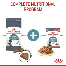 Royal Canin Hairball Care 