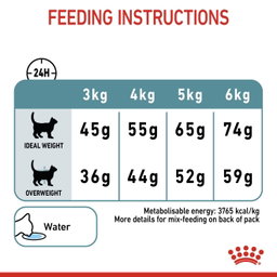 Royal Canin Hairball Care 