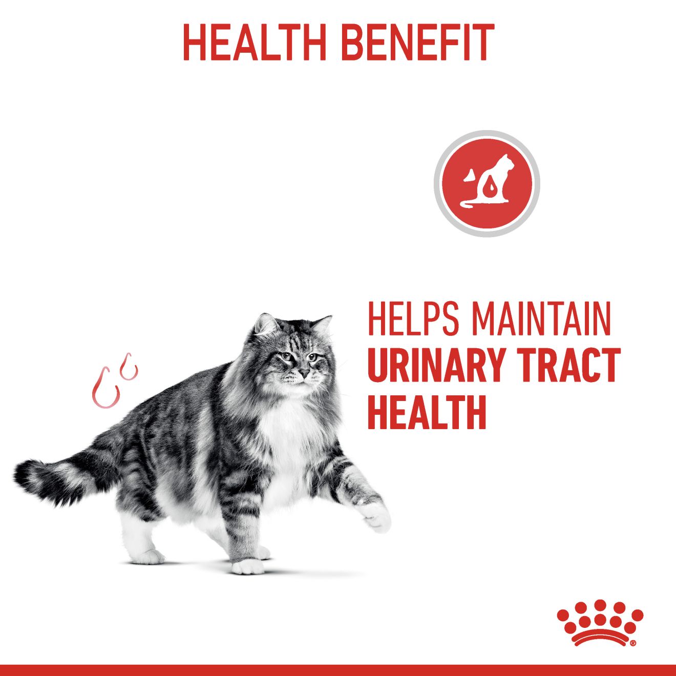 Royal Canin Urinary Care Adult_3
