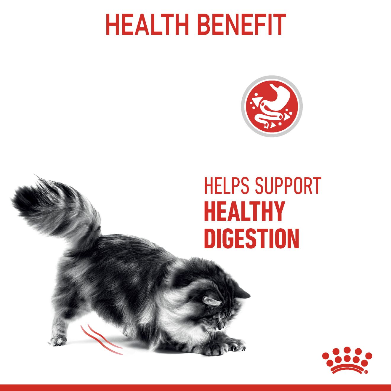 Royal Canin Digestive Care Adult_3