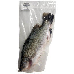 Wild Caught Seabass Gutted 700G