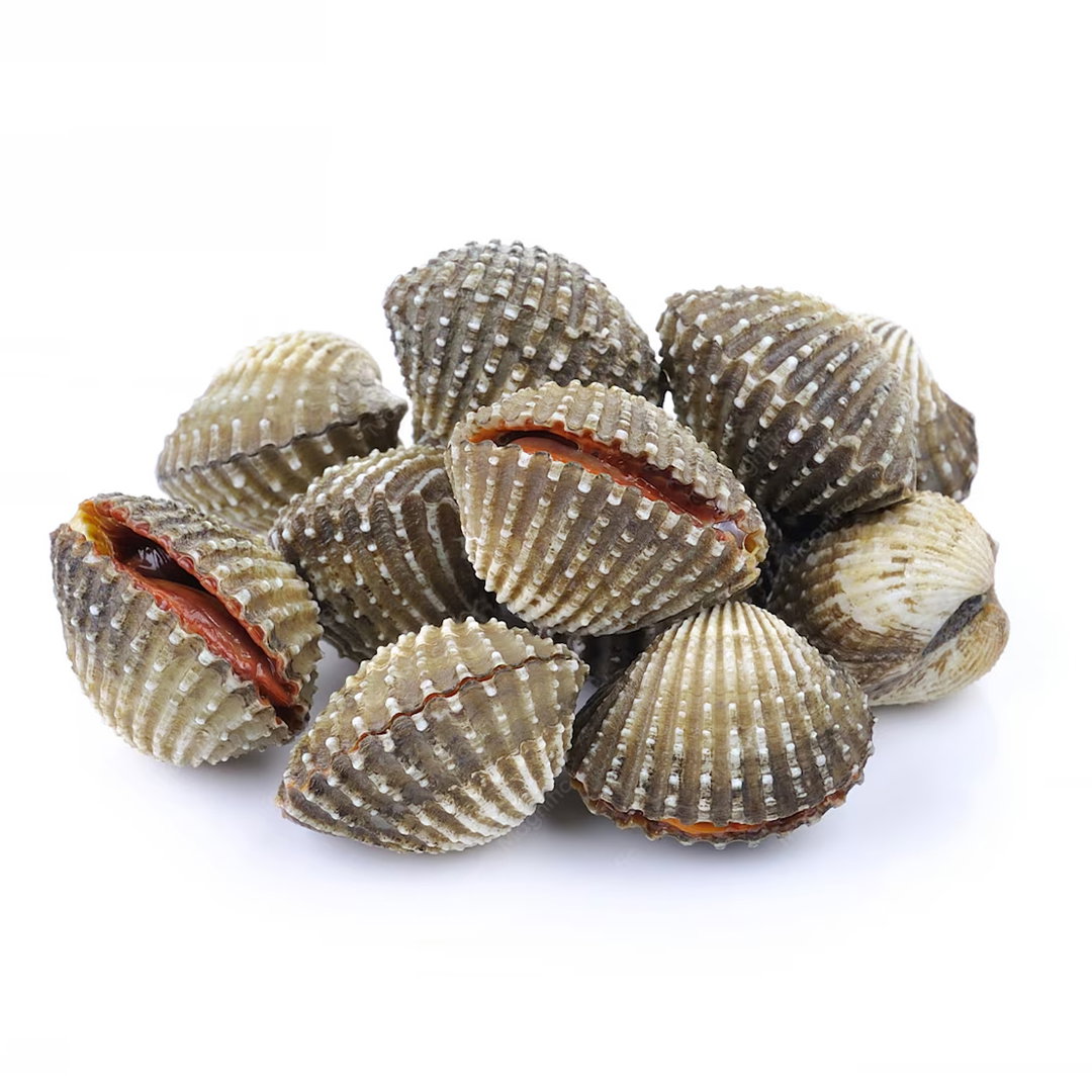 Kerang (400g)_3
