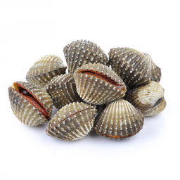 Kerang (400g)