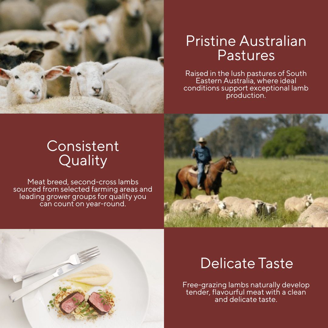 MULWARRA Prime Lamb French Rack 330G Frozen_2