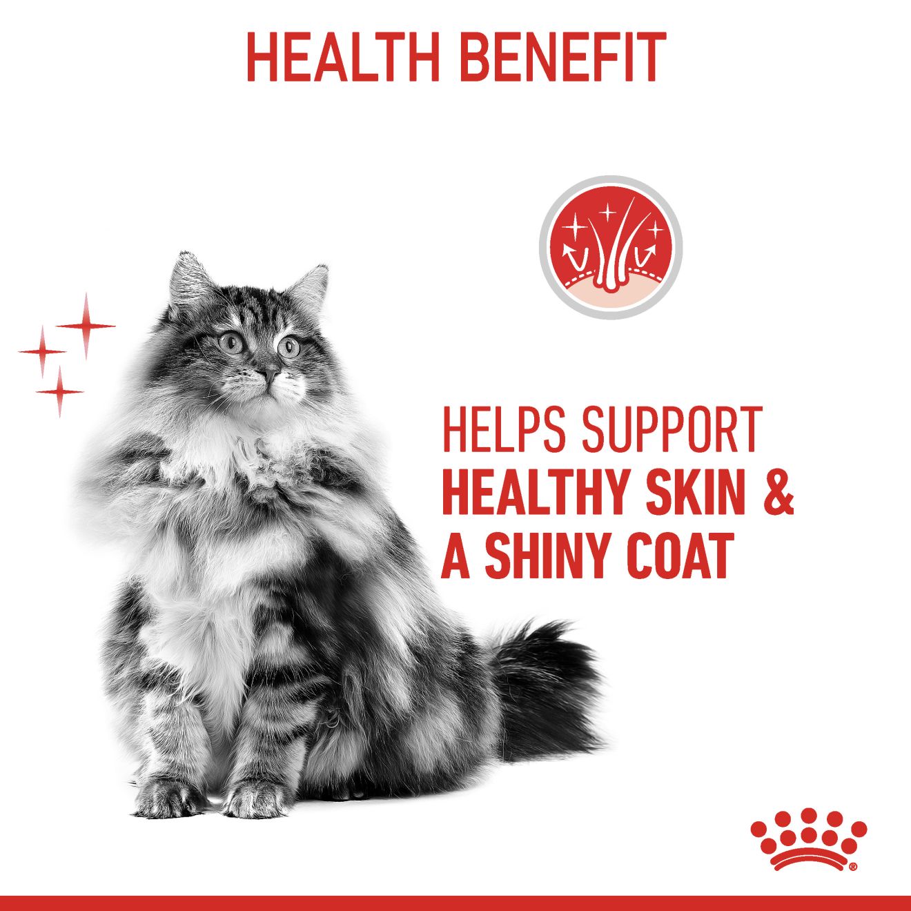 Royal Canin Hair & Skin Pouch (85g)_3