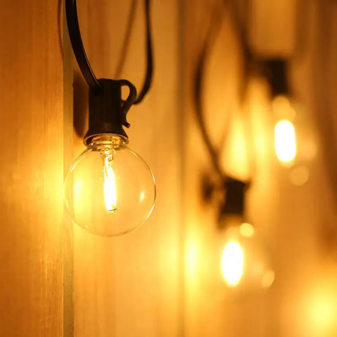 Electric Festoon Lights