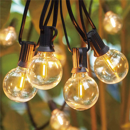 Electric Festoon Lights