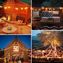 Electric Festoon Lights