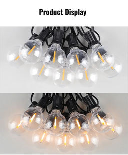 Electric Festoon Lights