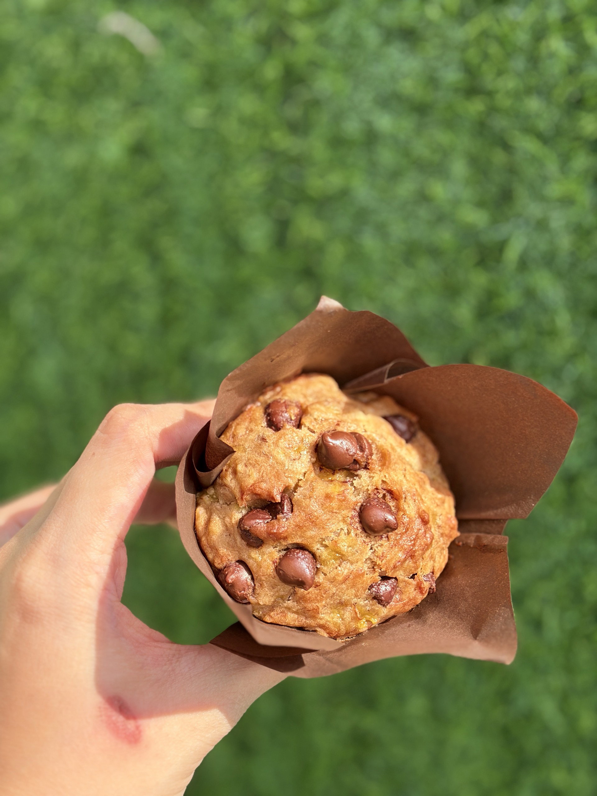 Choco Chip Banana Muffins_0