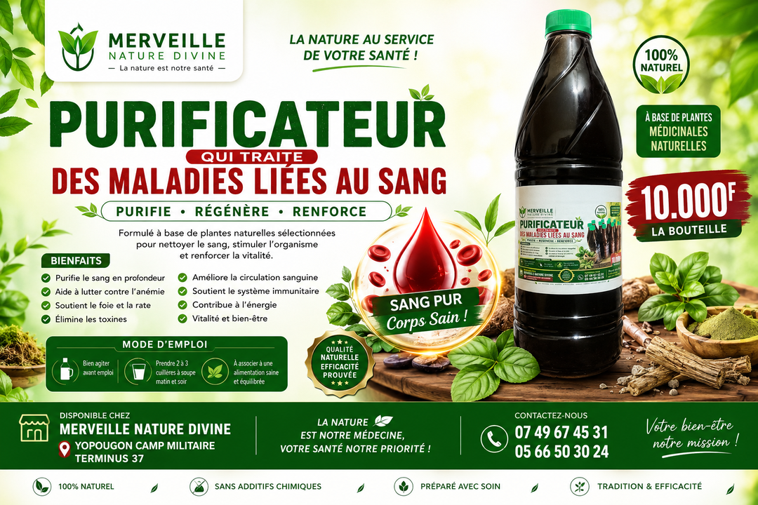 Le purificateur 