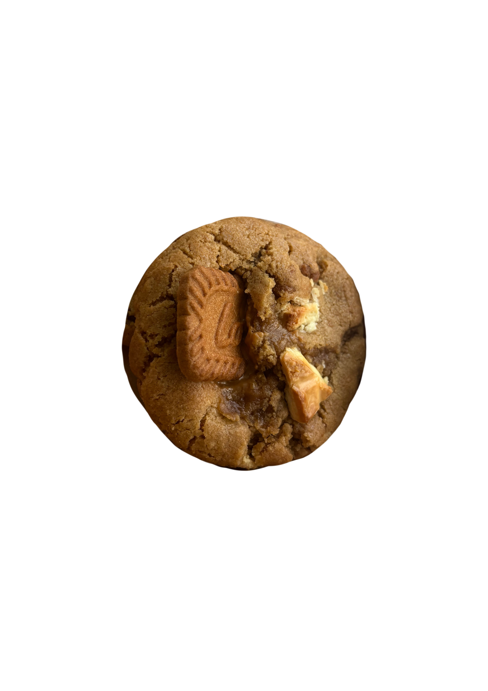 lotus biscoff