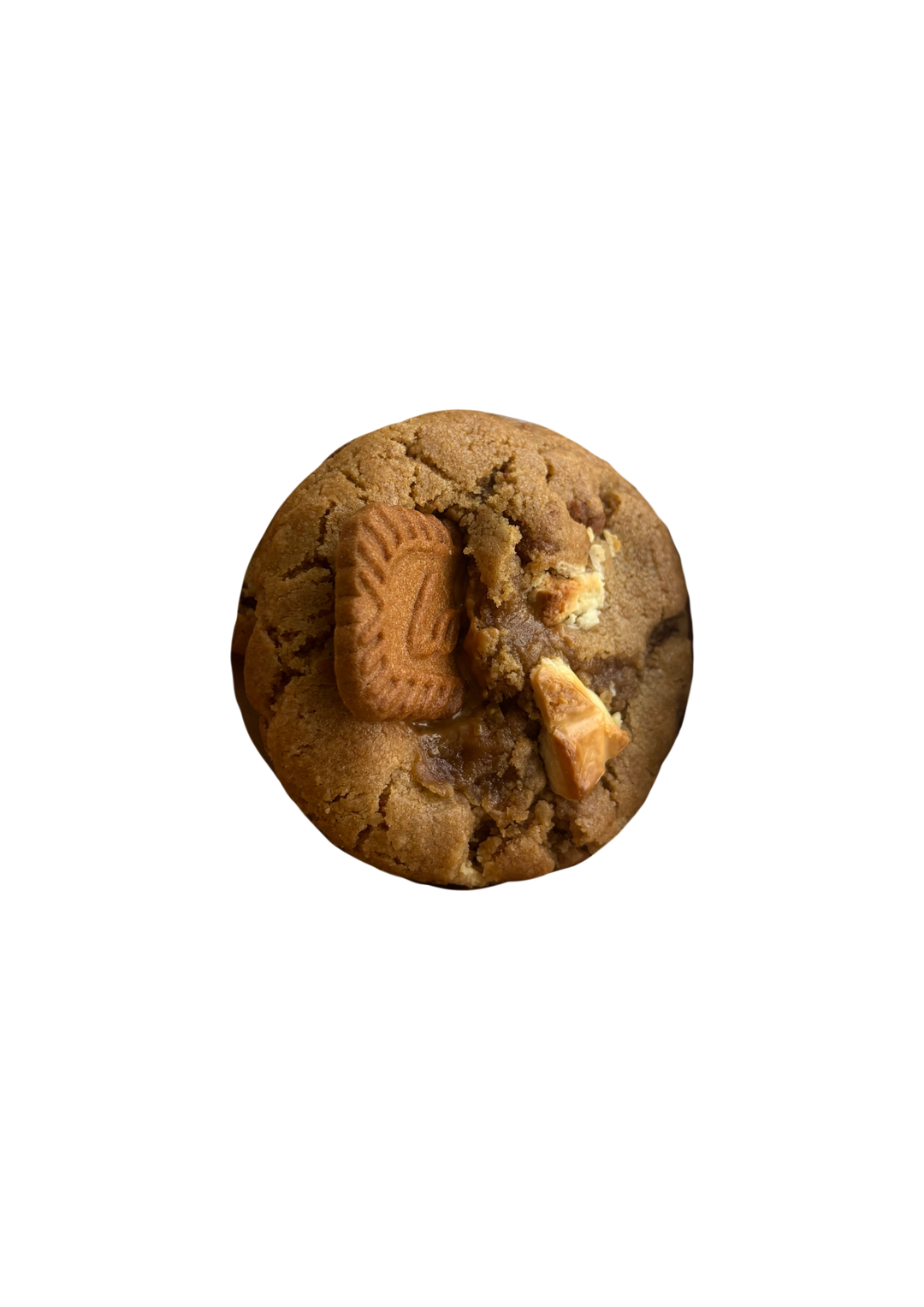 lotus biscoff (x2)