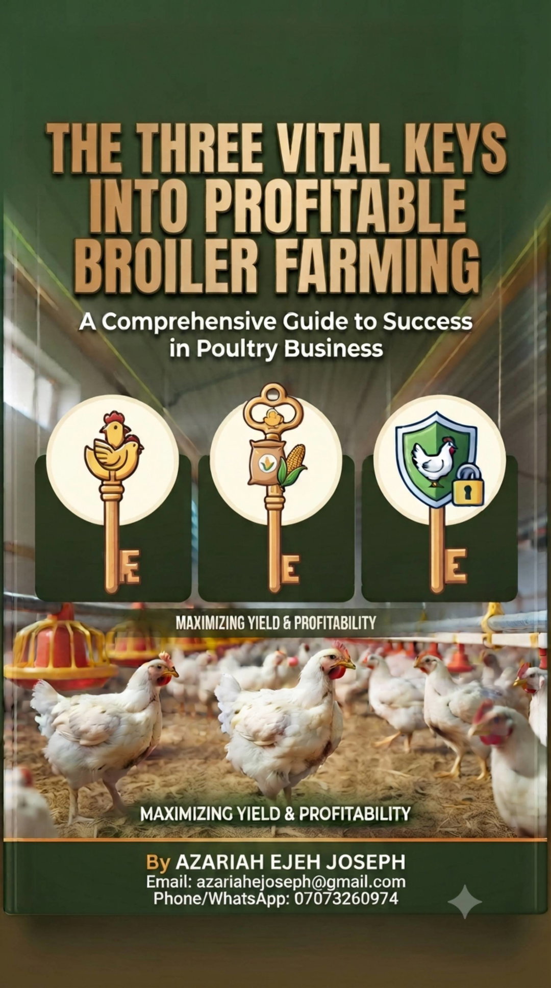 Three vital keys into successful sustainable and profitable poultry farming business