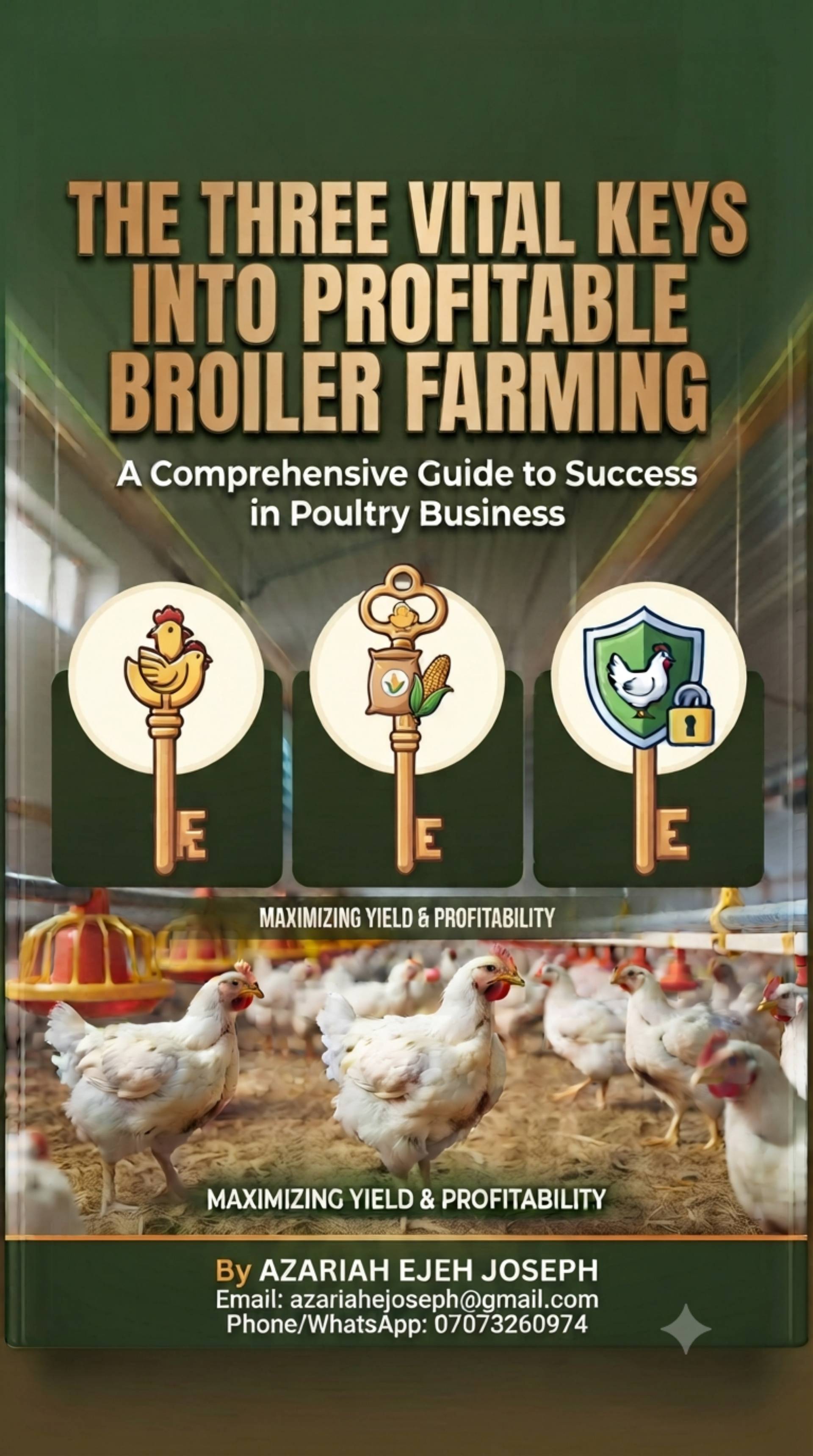 Three vital keys into successful sustainable and profitable poultry farming business_0