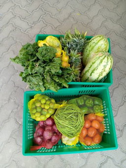 Veggies🍅🥔