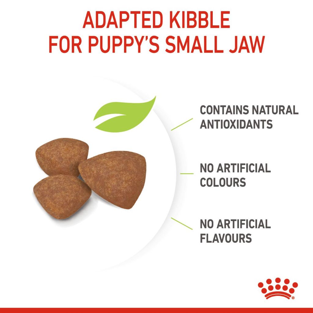 Royal Canin Mini Puppy_2