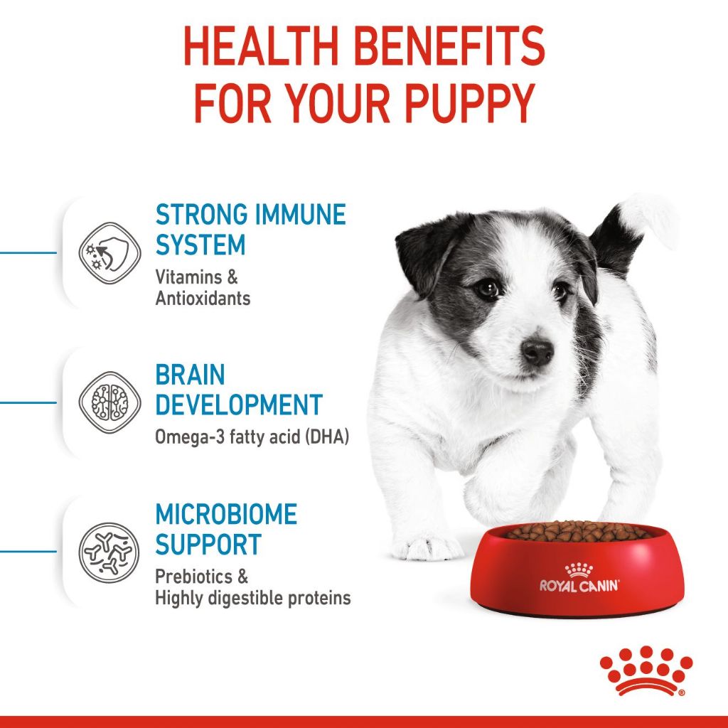 Royal Canin Mini Puppy_1