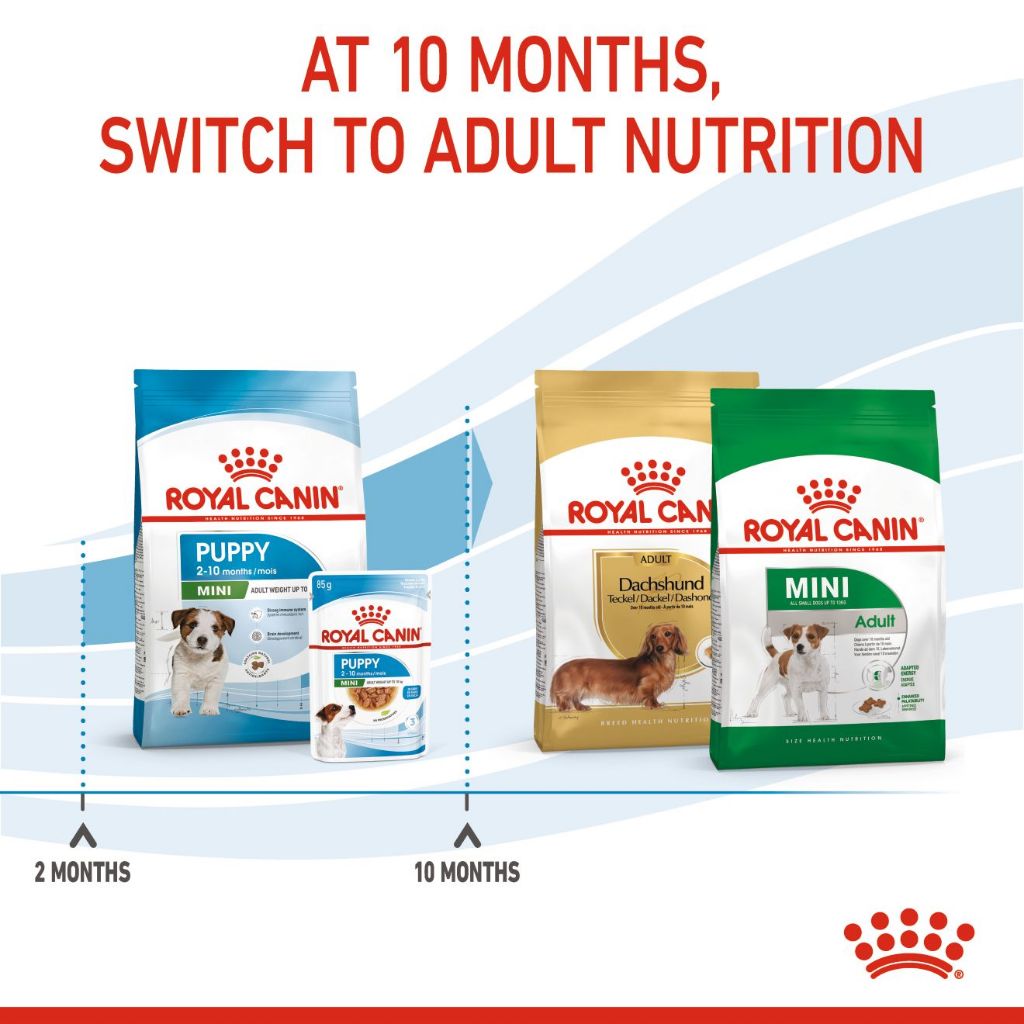 Royal Canin Mini Puppy_5