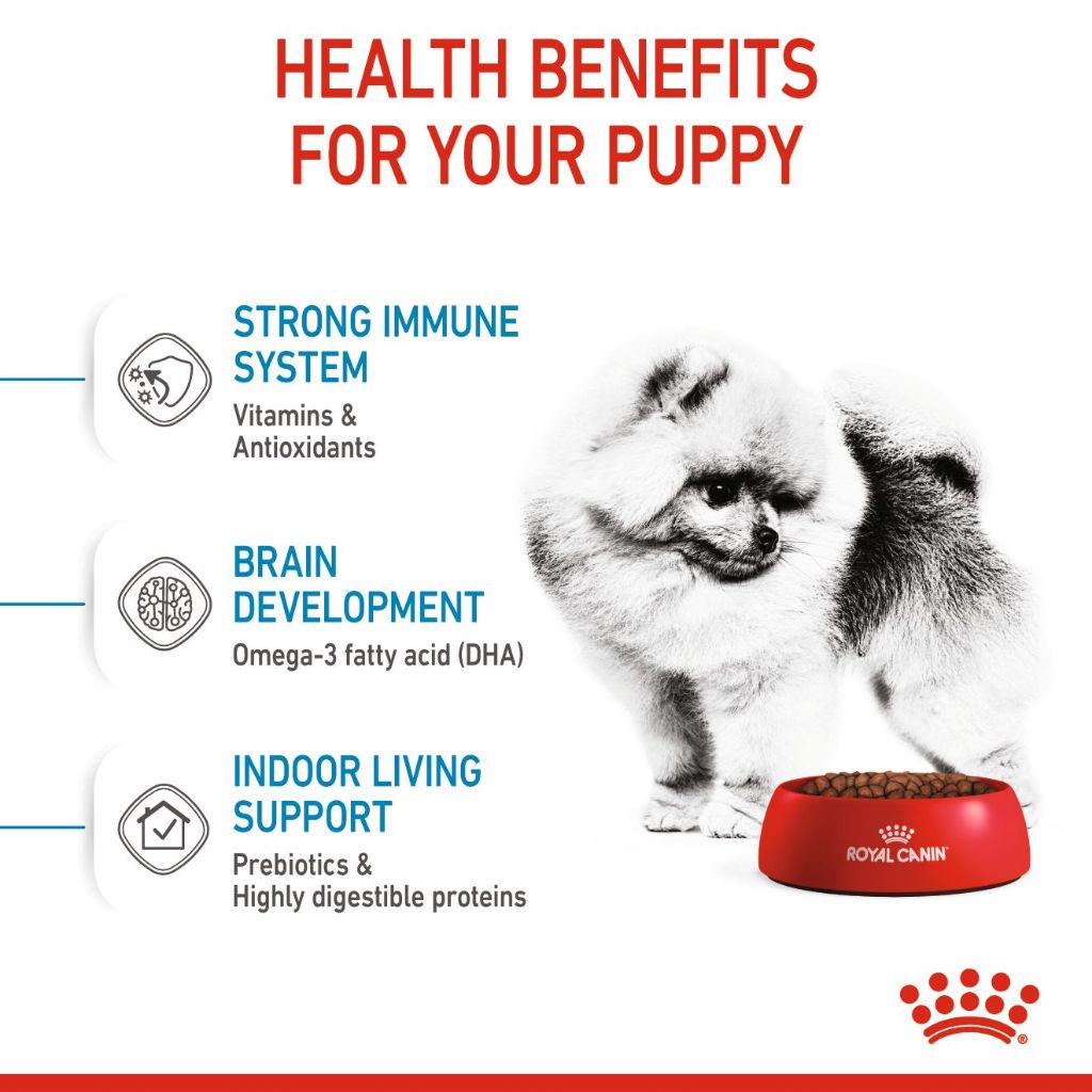 Royal Canin Mini Indoor Puppy_1
