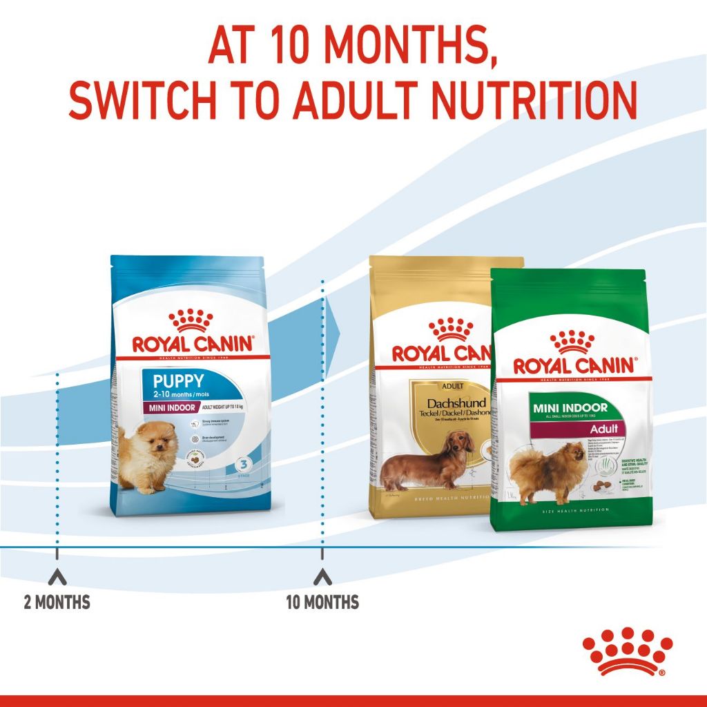 Royal Canin Mini Indoor Puppy_4