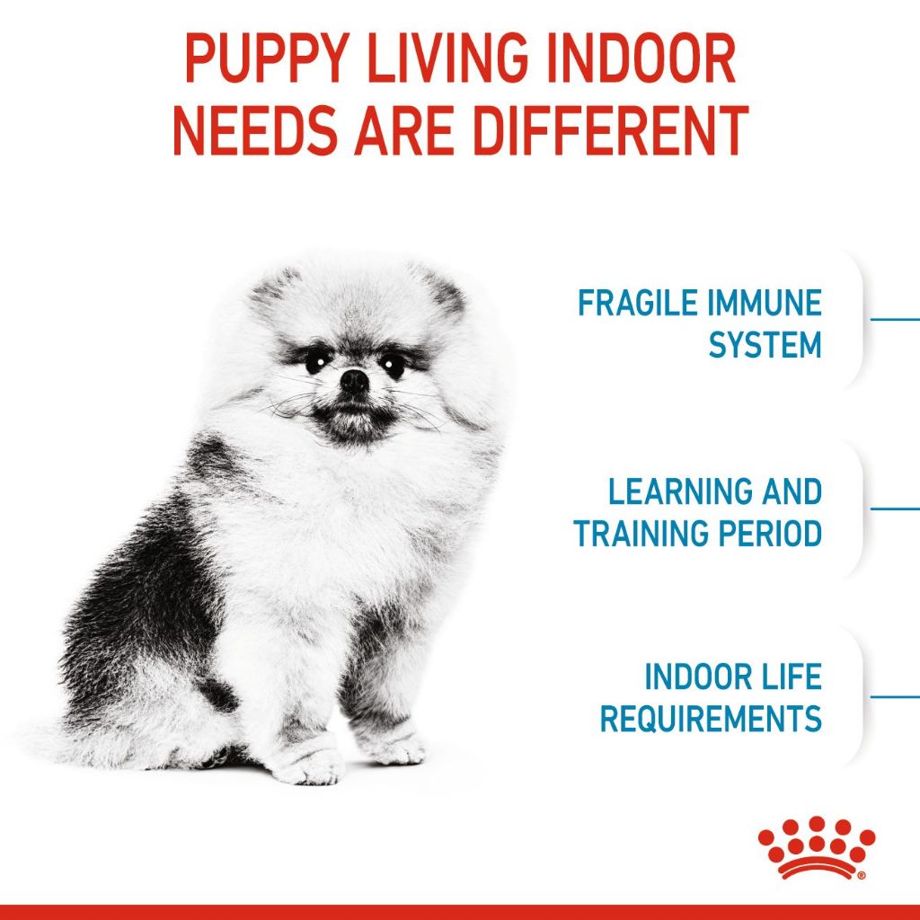 Royal Canin Mini Indoor Puppy_3