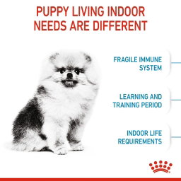 Royal Canin Mini Indoor Puppy