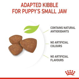 Royal Canin Mini Indoor Puppy