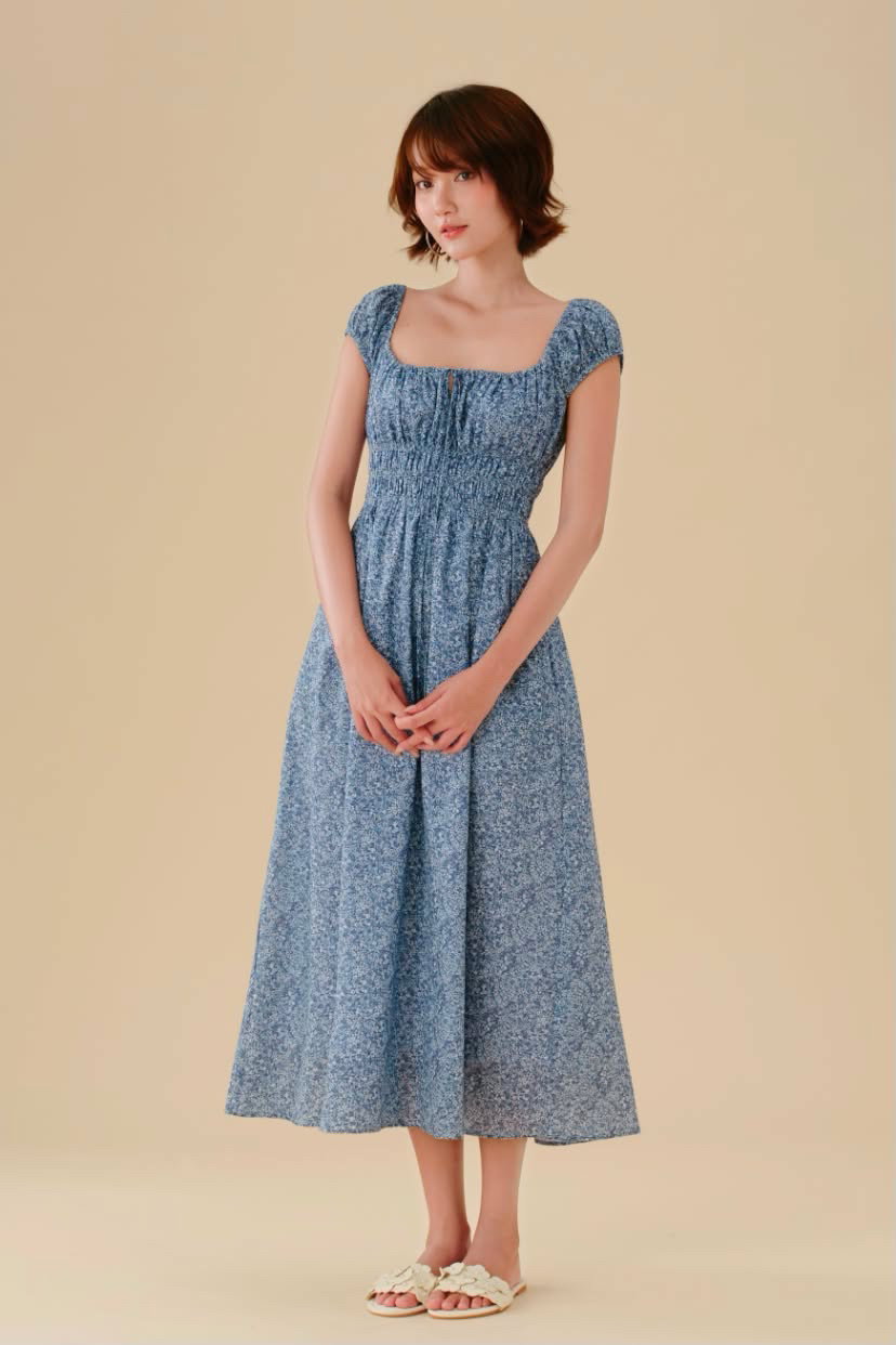 Marie Dress in Blue Picnic