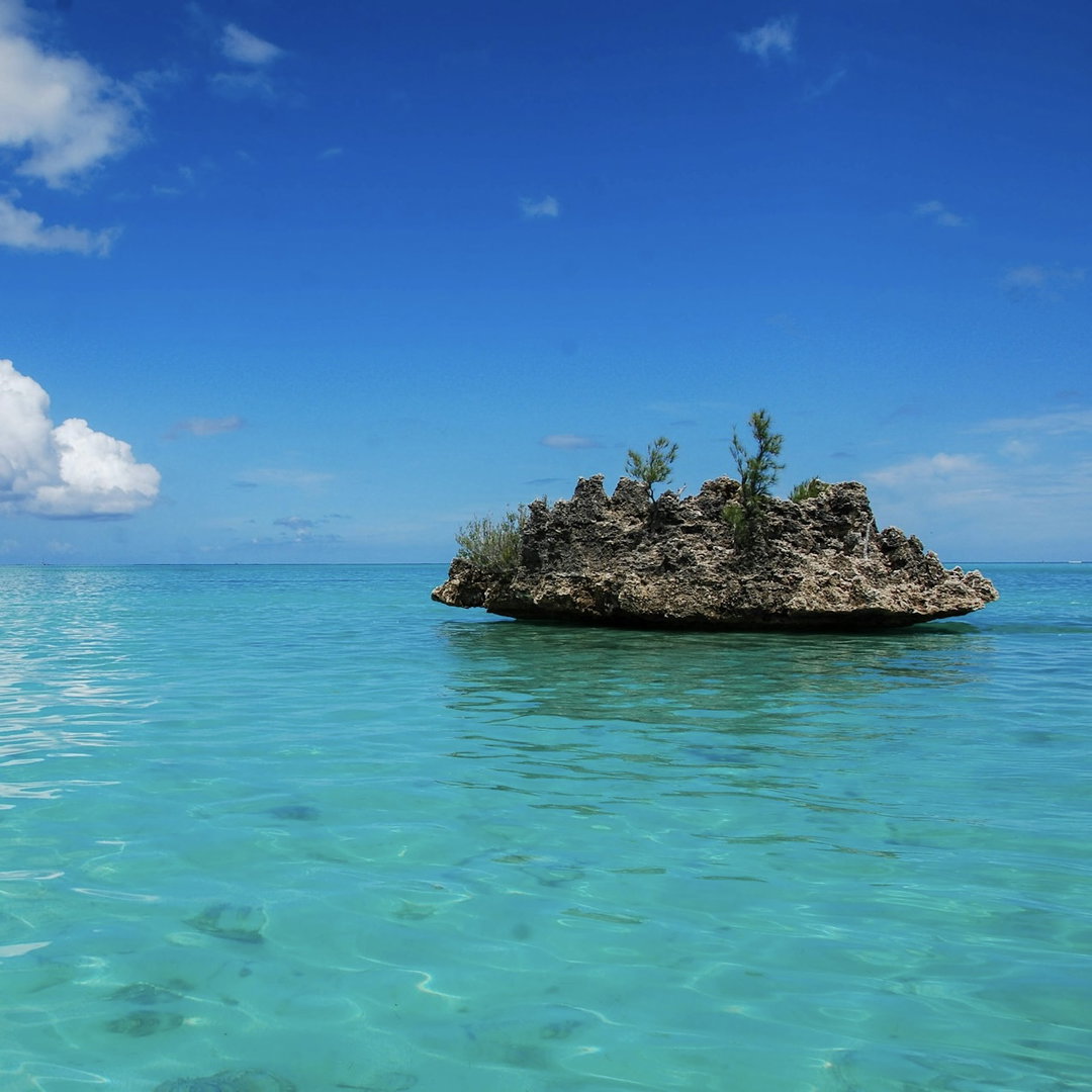 Full day trip with lunch on Ile aux Benitier, 7 hours