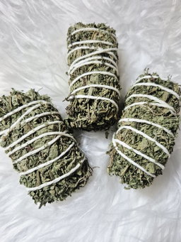 Lemon Verbena