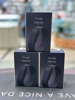 Google Fitbit Air