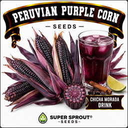 PERUVIAN PURPLE CORN SEEDS x 15 seeds