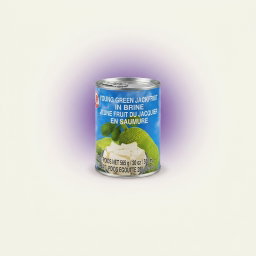 Canned Green Jackfruit in Pieces 565g