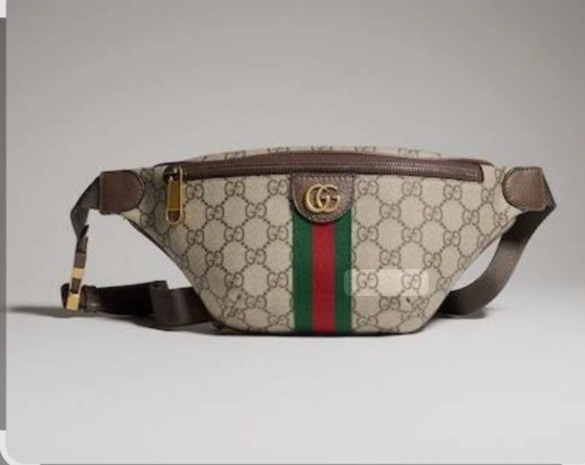 Gucci Ophidia small belt bag_0