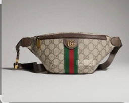 Gucci Ophidia small belt bag