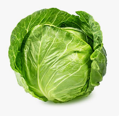 Fresh Cabbage