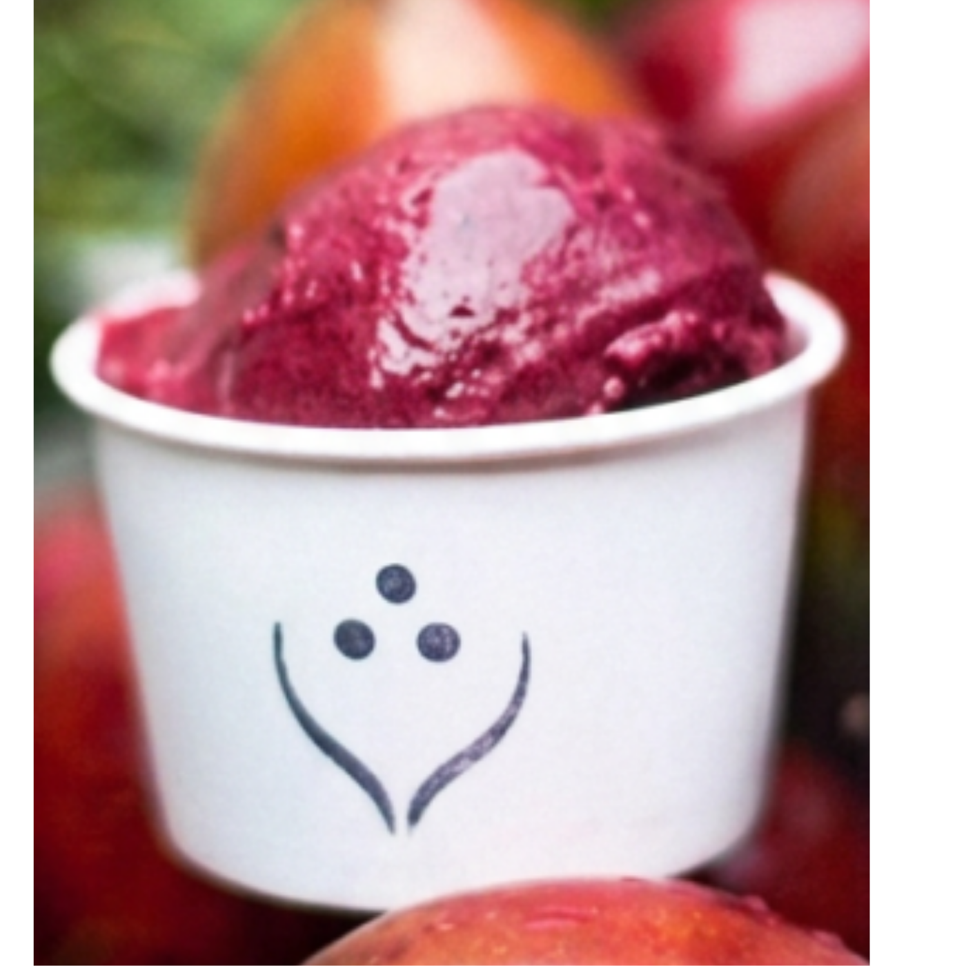 Tangaza Tree Tomato (vegan)_0