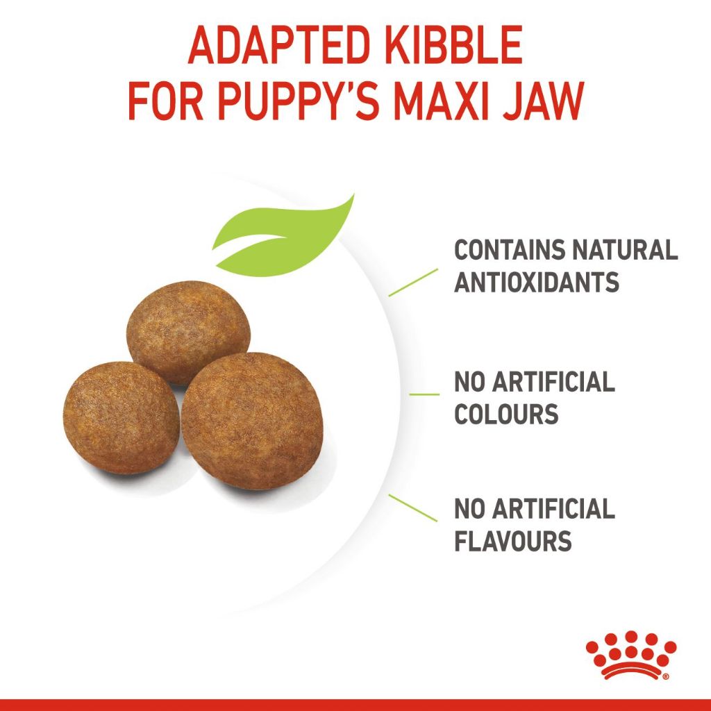 Royal Canin Maxi Puppy_2