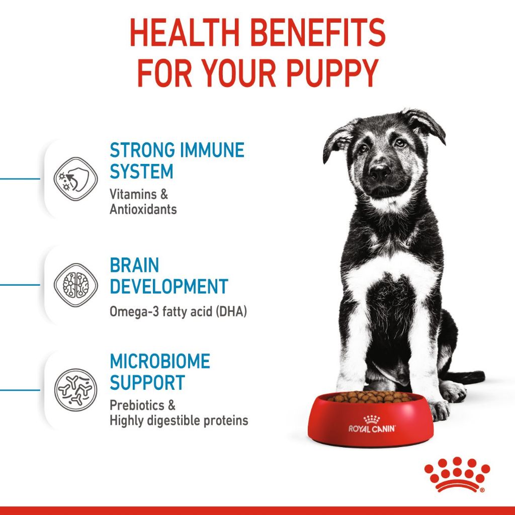 Royal Canin Maxi Puppy_1