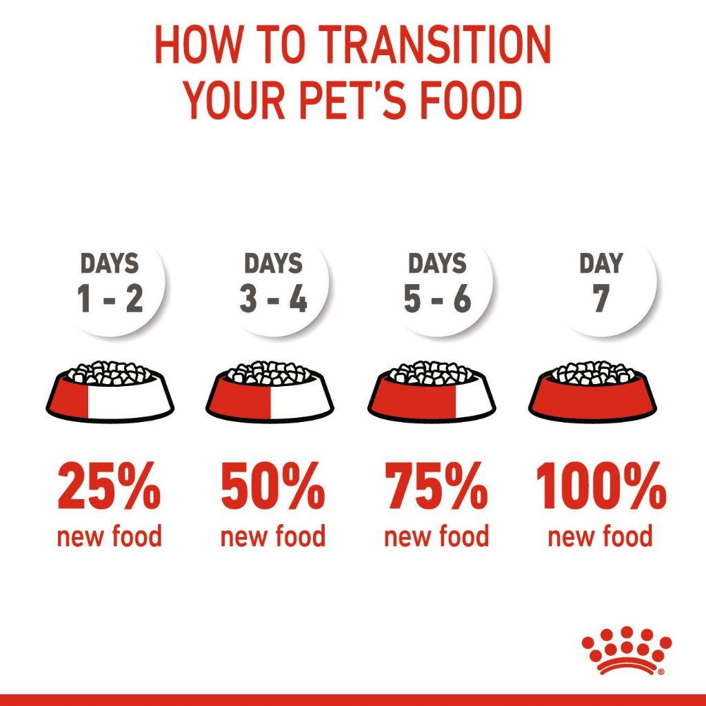 Royal Canin Maxi Puppy_5