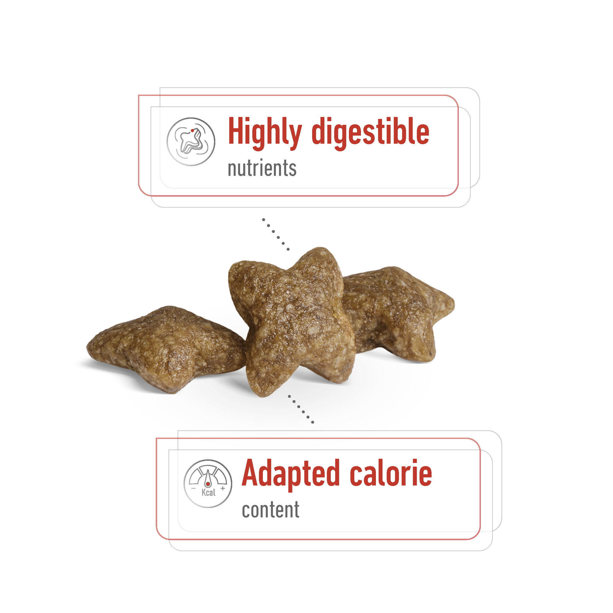Royal Canin Mini Adult_3
