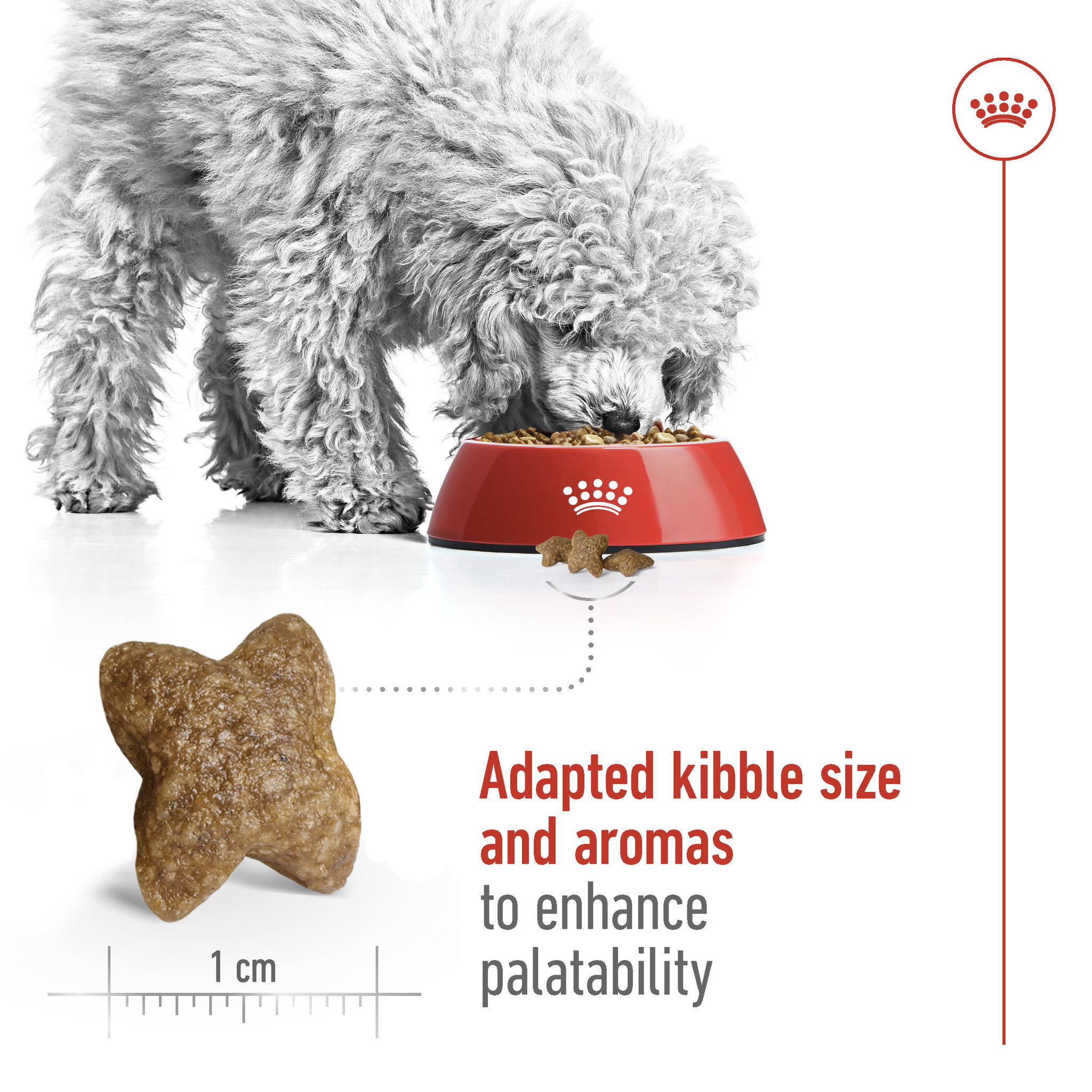 Royal Canin Mini Adult_4