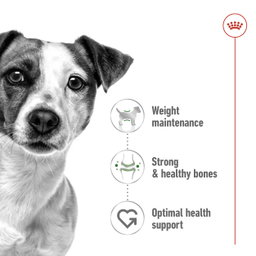 Royal Canin Mini Adult