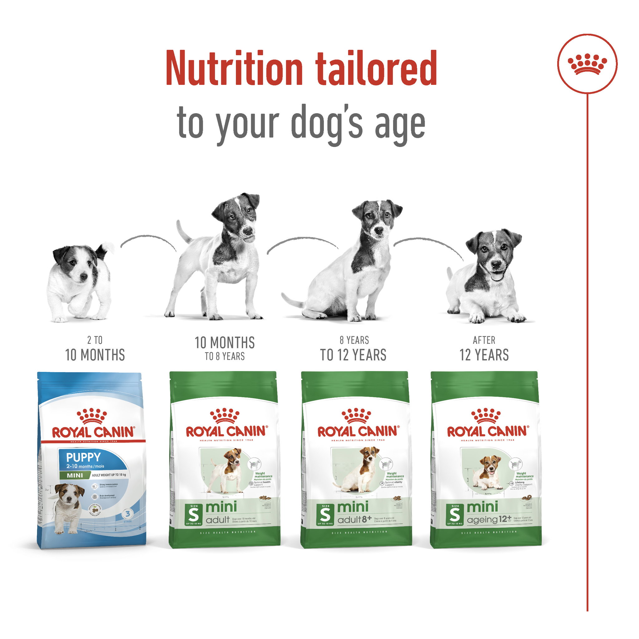 Royal Canin Mini Adult_5