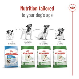 Royal Canin Mini Adult