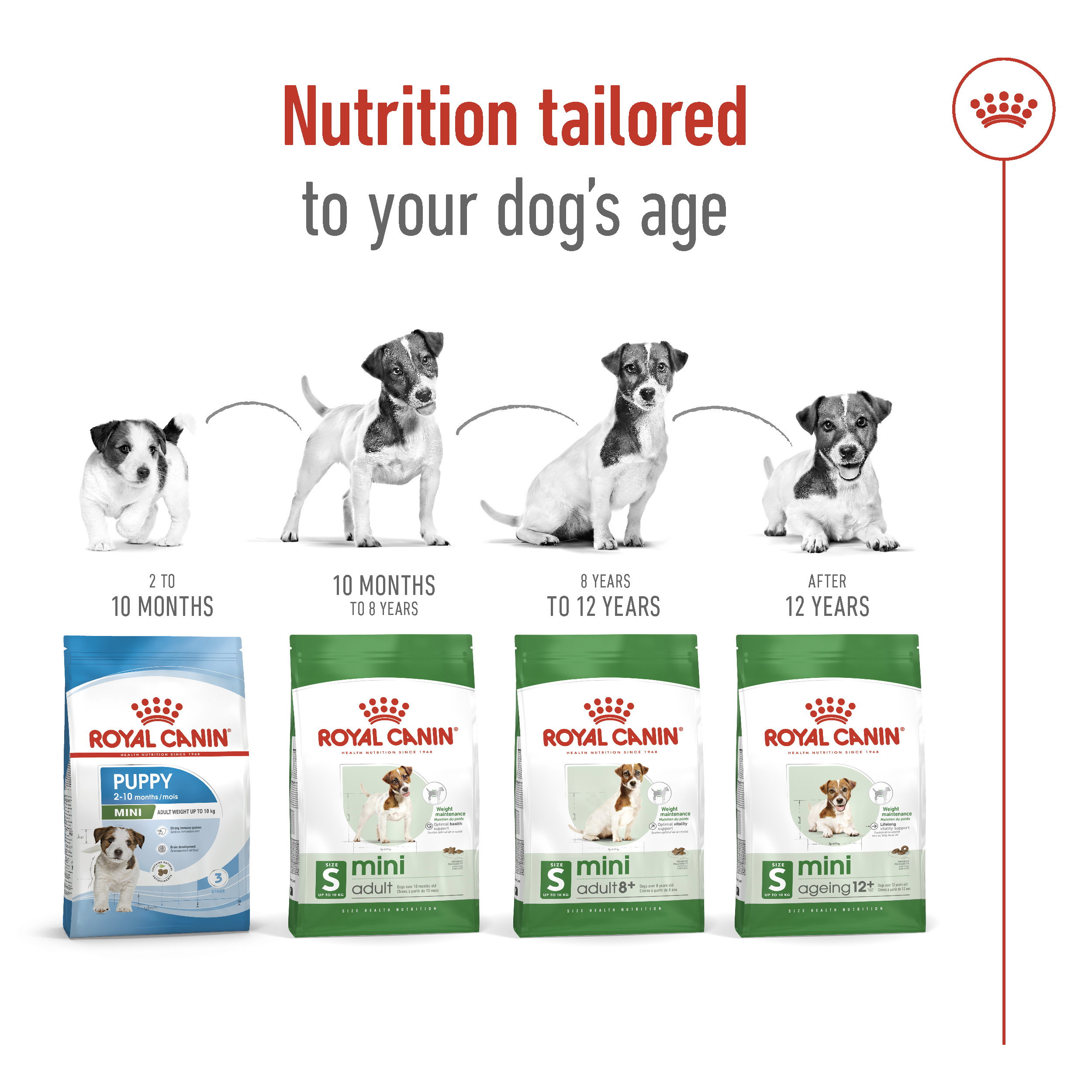 Royal Canin Mini Adult_5