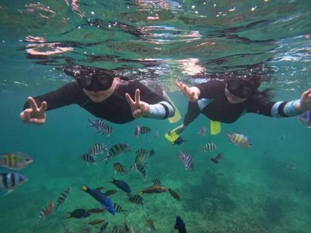 04.(Package A) Island Hopping and Snorkeling 